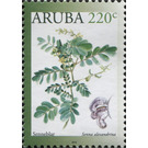 Senneblar (Senna alexandrina) - Caribbean / Aruba 2019 - 220