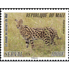 Serval (Leptailurus serval) - West Africa / Mali 2014