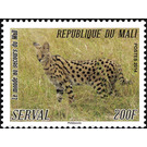 Serval (Leptailurus serval) - West Africa / Mali 2014 - 200