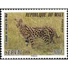 Serval (Leptailurus serval) - West Africa / Mali 2014 - 300