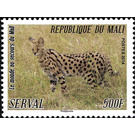 Serval (Leptailurus serval) - West Africa / Mali 2014 - 500