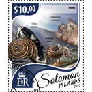 Shell and Lighthouses - Melanesia / Solomon Islands 2017 - 10