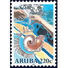 Shells and Necklace - Caribbean / Aruba 2019 - 220