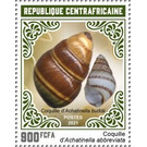 Shells of Achantinella abbreviata and Achentinella buddhi - Central Africa / Central African Republic 2021 - 900