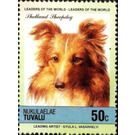 Shetland Sheepdog (Canis lupus familiaris) - Polynesia / Tuvalu, Nukulaelae 1985