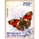 Shining Red Charaxes (Charaxes zingha) - West Africa / Ivory Coast 2014 - 250