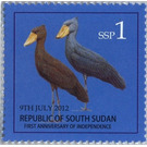 Shoebill (Balaeniceps rex) - East Africa / South Sudan 2012 - 1