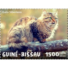 Siberian Cat - West Africa / Guinea-Bissau 2020
