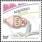 Signs of the Zodiac: Aquarius - Brazil 2020