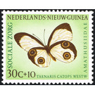 Silky Owl (Taenaris catops) - Melanesia / Netherlands New Guinea 1960