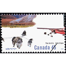Sled Dogs (Canis lupus familiaris), Ski Plane - Canada 1995 - 45