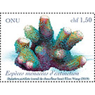 Smooth Cauliflower Coral (Stylophora sp.) - UNO Geneva 2019 - 1.50