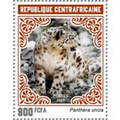 Snow Leopard (Panthera uncia) - Central Africa / Central African Republic 2021 - 900