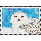 Snowy Owl (Bubo scandiacus) - Romania 2020 - 2