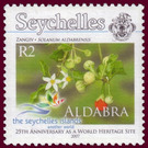 Solanum aldabrensis - East Africa / Seychelles 2007 - 2
