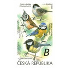 Songbirds - Tits (Parus sp.) - Czech Republic (Czechia) 2020