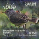 Southern Beardless Tyrannulet (Camptostoma obsoletum) - South America / Ecuador 2019 - 0.75