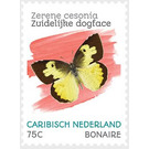 Southern Dogface (Zerene cesonia) - Caribbean / Bonaire 2020 - 75
