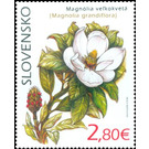 Southern Magnolia (Magnolia grandiflora) - Slovakia 2020 - 2.80