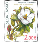 Southern Magnolia (Magnolia grandiflora) - Slovakia 2020 - 2.80