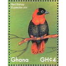 Southern Red Bishop    Euplectes orix - West Africa / Ghana 2017 - 4