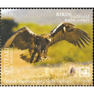 Spanish Imperial Eagle - Aitutaki 2019 - 3