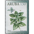 Spearmint (Mentha spicata) - Caribbean / Aruba 2019 - 130