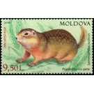 Speckled Ground Squirrel (Spermophilus suslicus) - Moldova 2019 - 9.50