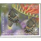 Spicebush Swallowtail (Papilio troilus) - Polynesia / Cook Islands 2020 - 7