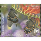 Spicebush Swallowtail (Papilio troilus) - Polynesia / Cook Islands 2020 - 7