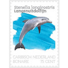 Spinner Dolphin (Stenella longirostris) - Caribbean / Bonaire 2020 - 75