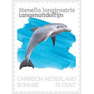 Spinner Dolphin (Stenella longirostris) - Caribbean / Bonaire 2020 - 75