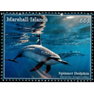 Spinner Dolphin (Stenella longirostris) - Micronesia / Marshall Islands 2020 - 55