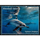 Spinner Dolphin (Stenella longirostris) - Micronesia / Marshall Islands 2020 - 55