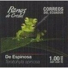 Spiny Cochran Frog (Teratohyla spinosa) - South America / Ecuador 2019 - 1