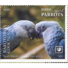 Spix's Macaw (Cyanopsitta spixii) - Cook Islands, Rarotonga 2020 - 6