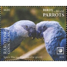 Spix's Macaw (Cyanopsitta spixii) - Cook Islands, Rarotonga 2020 - 6