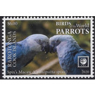 Spix's Macaw (Cyanopsitta spixii) - Cook Islands, Rarotonga 2020 - 6