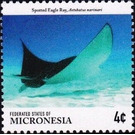Spotted eagle ray - Micronesia / Micronesia, Federated States 2015 - 4