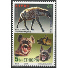 Spotted Hyena (Crocuta crocuta) - East Africa / Ethiopia 2019 - 5