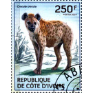 Spotted Hyena (Crocuta crocuta) - West Africa / Ivory Coast 2014 - 250