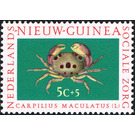 Spotted Reef Crab (Carpilius maculatus) - Melanesia / Netherlands New Guinea 1962