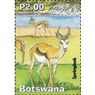 Springbok - South Africa / Botswana 2019 - 2