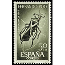 Squash Bug (Plectrocnemia cruciata) - Central Africa / Equatorial Guinea  / Fernando Po 1965 - 50