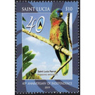 St. Lucia Parrot (Amazona versicolor) - Caribbean / Saint Lucia 2019 - 10