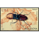 Stag Beetle (Lucanus cervus) - Moldova 2019 - 1.75
