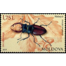 Stag Beetle (Lucanus cervus) - Moldova 2019 - 1.75