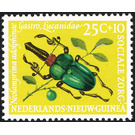 Stag Beetle (Neolamprina adolphinae) - Melanesia / Netherlands New Guinea 1961
