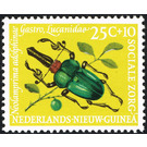 Stag Beetle (Neolamprina adolphinae) - Melanesia / Netherlands New Guinea 1961