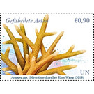 Staghorn Coral (Acropora spp.) - UNO Vienna 2019 - 0.90